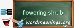 WordMeaning blackboard for flowering shrub